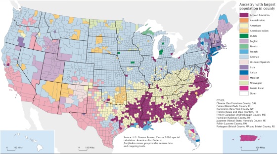 Census-2000-Data-Top-US-Ancestries-by-County 2